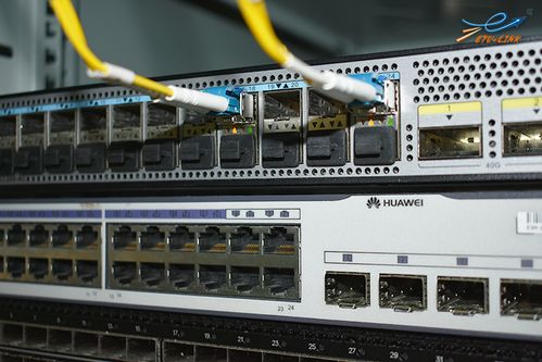 如何選擇專業(yè)的光模塊廠家與數據處理服務