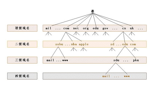 計(jì)算機(jī)網(wǎng)絡(luò)技術(shù)發(fā)展新篇章 軟件與網(wǎng)絡(luò)應(yīng)用技術(shù)的融合開(kāi)發(fā)